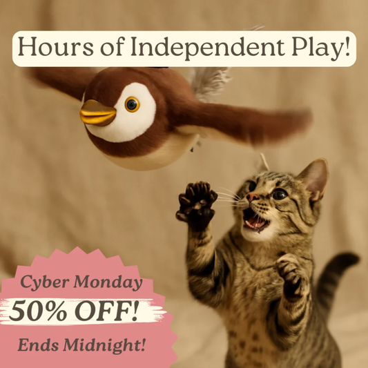 FlappySparrow™ Interactive Toy